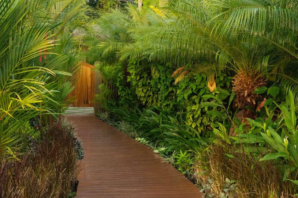 Casa Chameleon Hotel Mal Pais - Adults Only Playa Santa Teresa  設備 写真