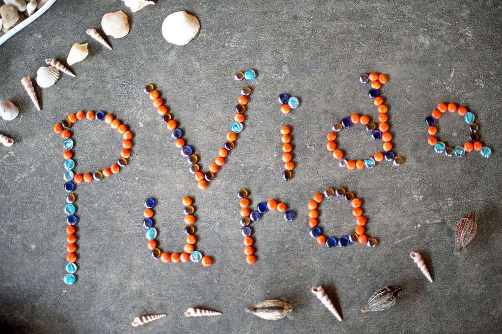 Casa Chameleon Hotel Mal Pais - Adults Only Playa Santa Teresa  設備 写真