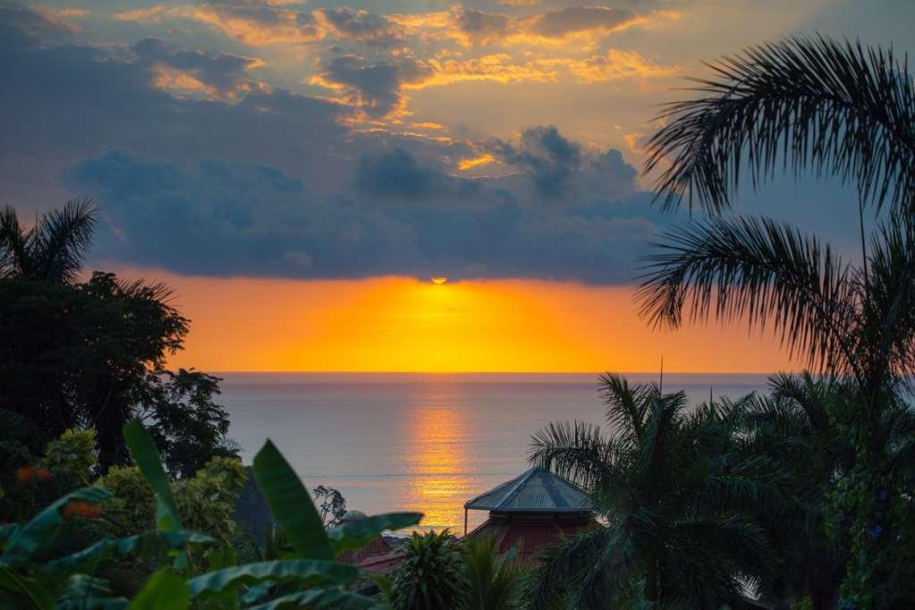 Casa Chameleon Hotel Mal Pais - Adults Only Playa Santa Teresa  設備 写真