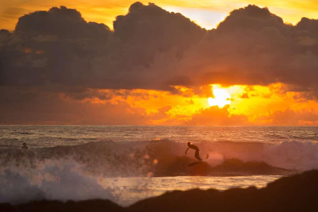 Casa Chameleon Hotel Mal Pais - Adults Only Playa Santa Teresa  設備 写真